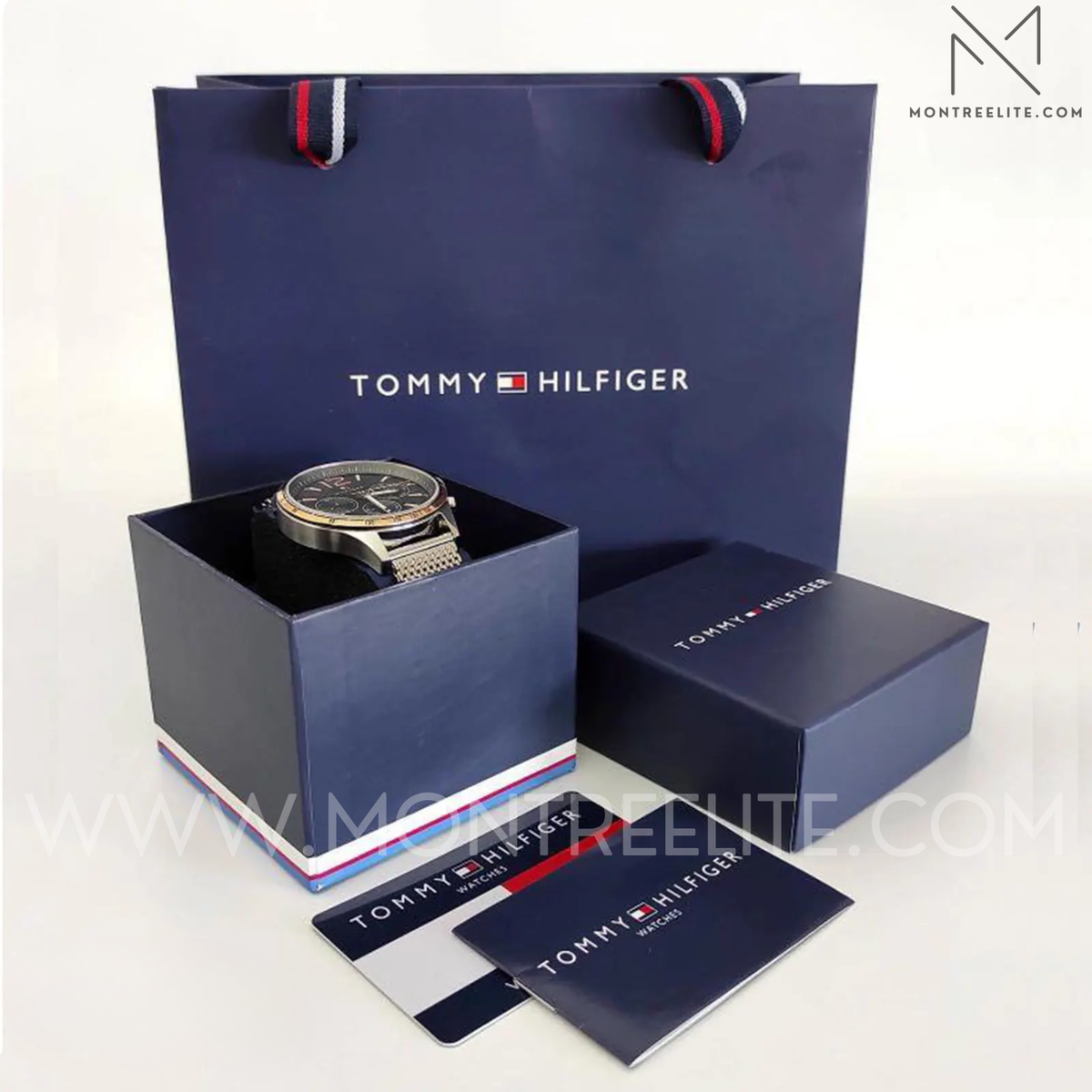 Montre Homme Tommy Hilfiger Mason 1791937