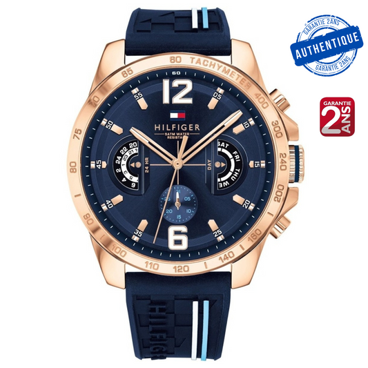Montre Tommy Hilfiger TH1791474