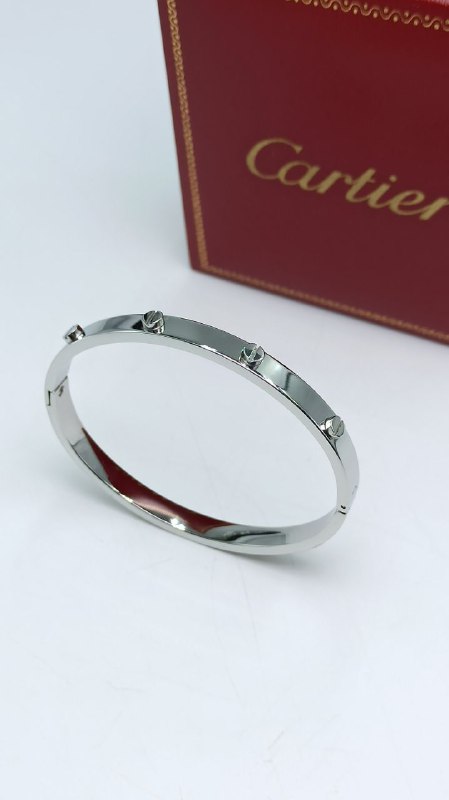 Bracelet De Luxe Pour Femme / F30091