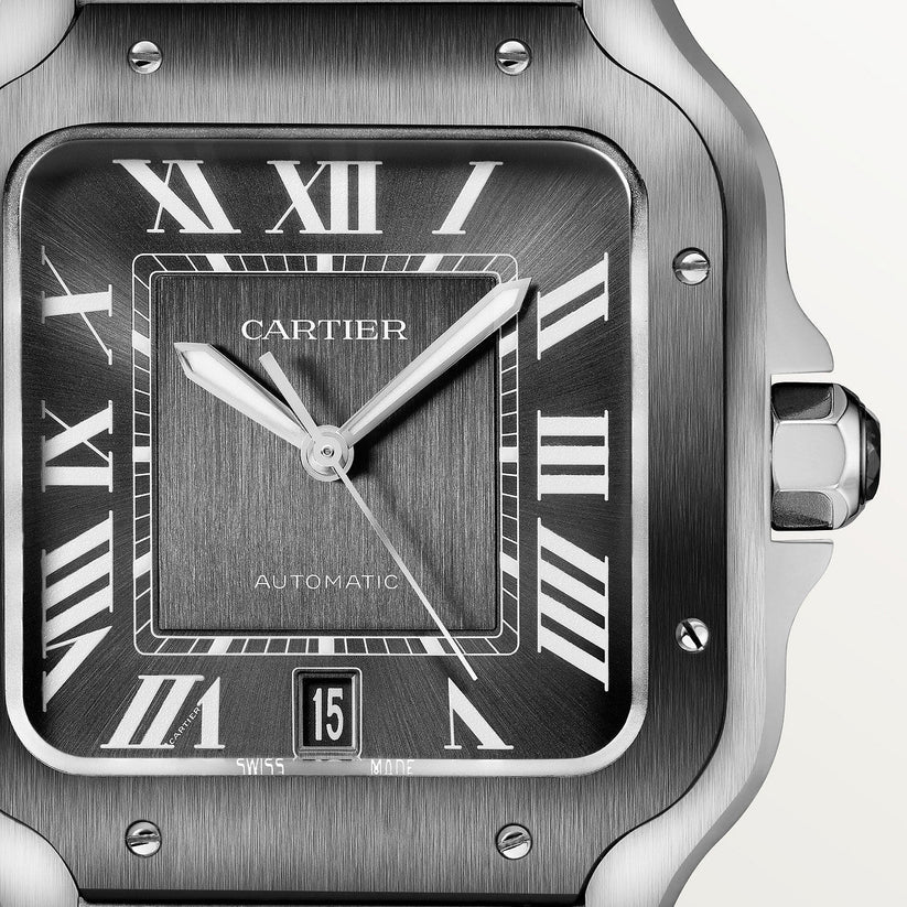 Montre Cartier Santos WSSA0037 Pour Homme